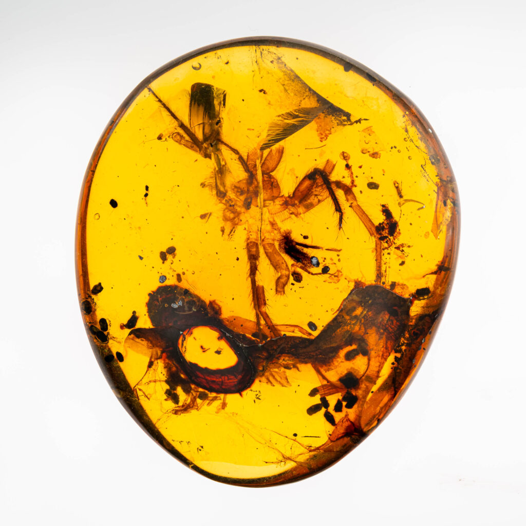 Amber macro