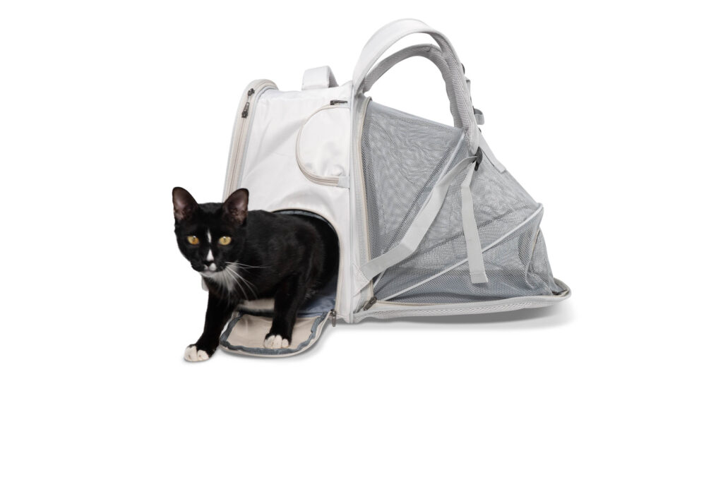 Pet product shoot